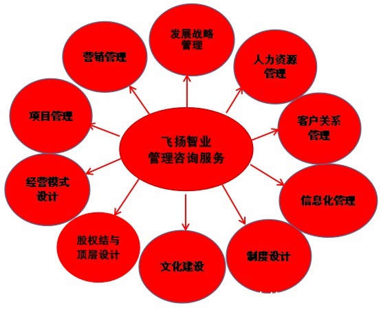 管理咨詢服務哪家強？深度解析信息咨詢領域的選擇策略